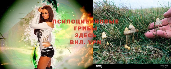 метадон Алексеевка