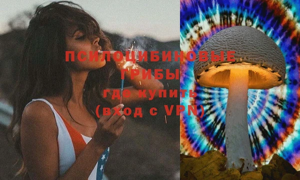 марки nbome Алзамай
