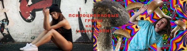 ALPHA PVP Алексин